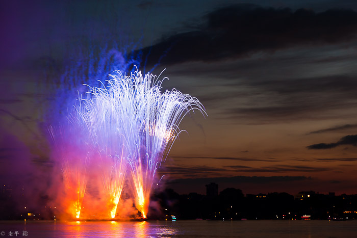 Cherry Blossom Fireworks